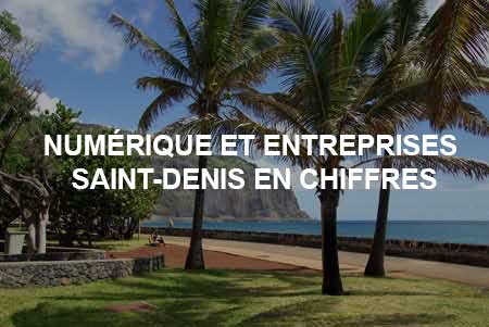 Numérique et entreprises Saint-Denis en chiffres